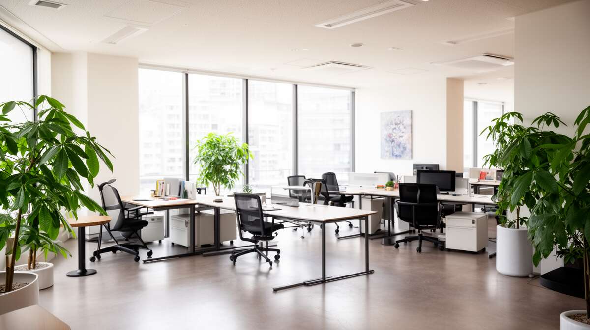 Solutions professionnelles pour un entretien efficace