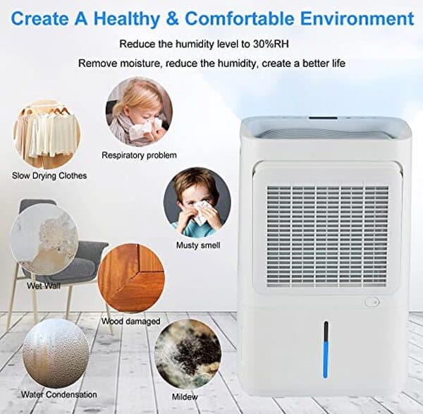 Découvrez l'efficacité étonnante du déshumidificateur Greenmigo ALPHA-Q20 dans notre test complet. Polyvalent et performant, il répond à tous vos besoins de déshumidification.