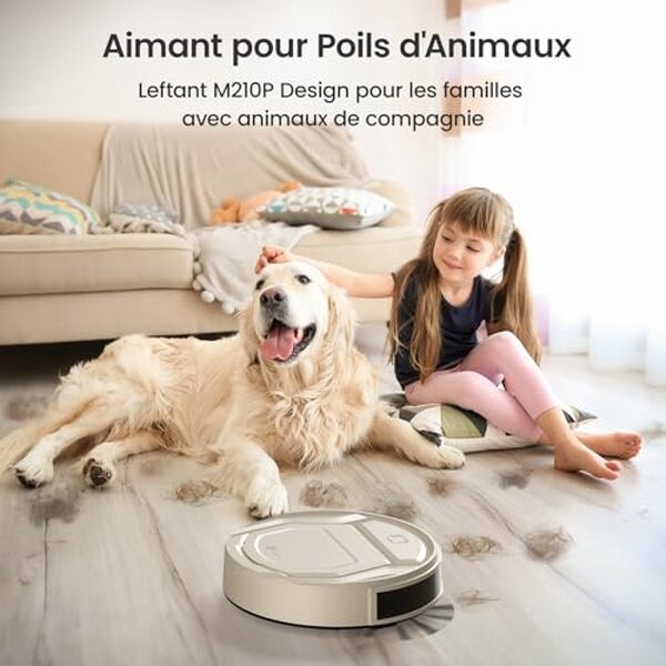 Découvrez notre test détaillé du Lefant M210P : puissance de nettoyage, connectivité intelligente et design discret. Avis complet et recommandations d'achat.